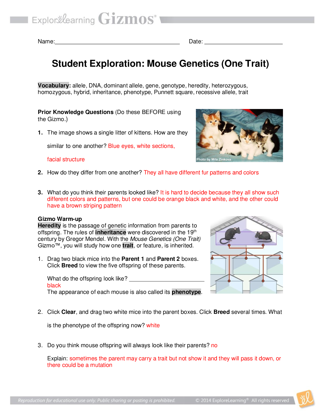 document-preview